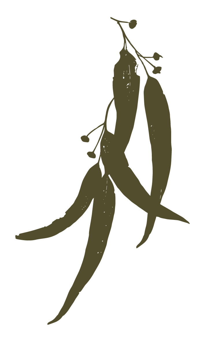 Emmalin Larsson Logo